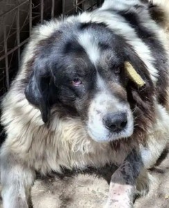 Dschinn20250928_135955_edit_94026892713973