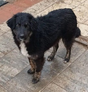 Emily-20240321-WA00122