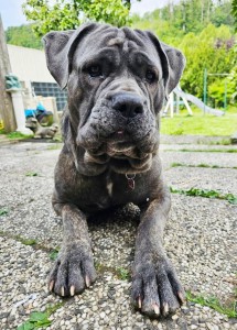 Nero IMG-20251113-WA0013