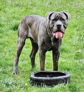 NeroIMG-20251113-WA0007