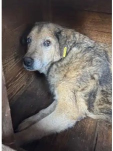 Screenshot_20251119_091631_edit_60094651804418