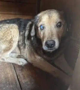 Screenshot_20251119_091635_edit_60106112936549