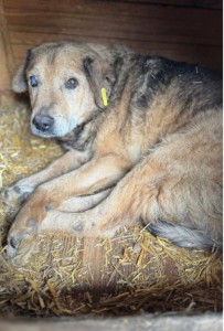 Screenshot_20251119_091703_edit_60126417970708