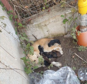 WhatsApp Image 2025-11-09 at 13.53.54 (2)