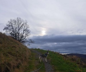 abendstimmung.0b047994256b48548f4d0d147c42157d