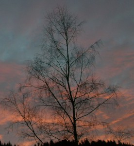 himmel2016