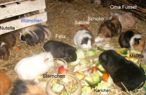 karlchen.gruppe.mai2012
