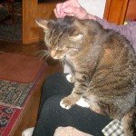 kater.willy01