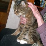 kater.willy03