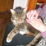 kater.willy04