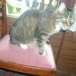 kater.willy07