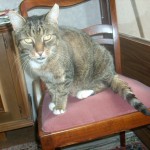 kater.willy08