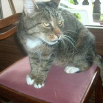 kater.willy10