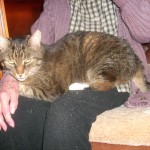 kater.willy