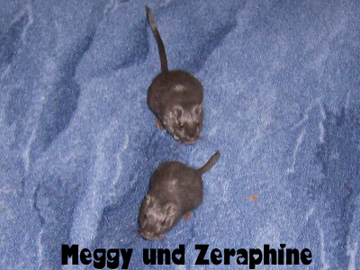 meggy-und-zera.jpg