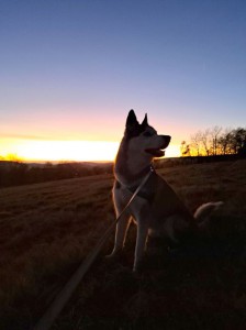 mo.akehla20241103-WA0021