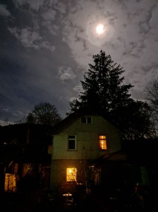 mo.ashly20251106-WA0005