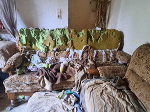 mo.ashly20251106-WA0007