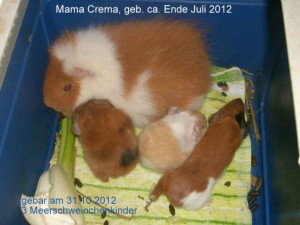 ms.crema.m.babys