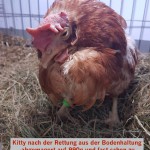 rettetDasHuhn02