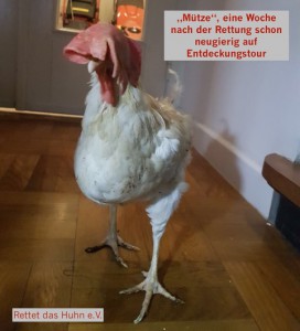 rettetDasHuhn06