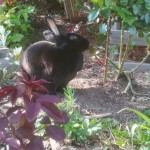 steffi_20190502_172603