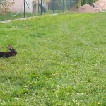 steffi_20191020_130411186