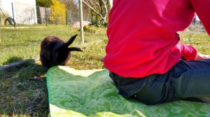 steffi_20200325_151028060_HDRx