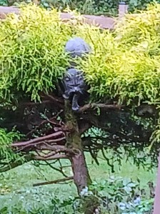 sunny20251014_155416