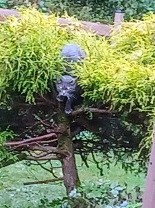 sunny20251014_155445