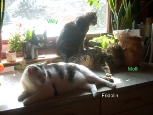 willys.freunde
