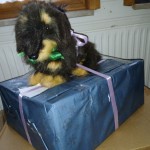 überraschungspakete01